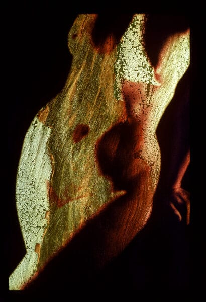 wood nude copy 2